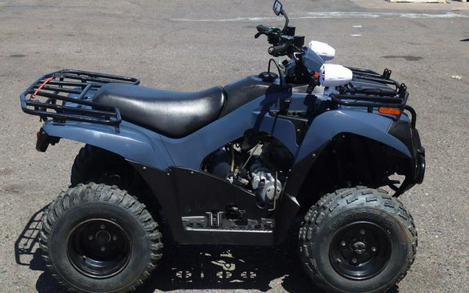2024 Kawasaki Brute Force 300