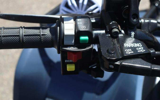 2024 Kawasaki Brute Force 300