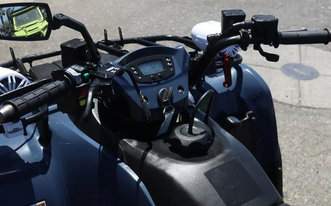 2024 Kawasaki Brute Force 300
