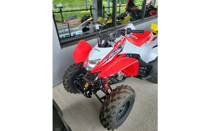 2024 Honda TRX250X