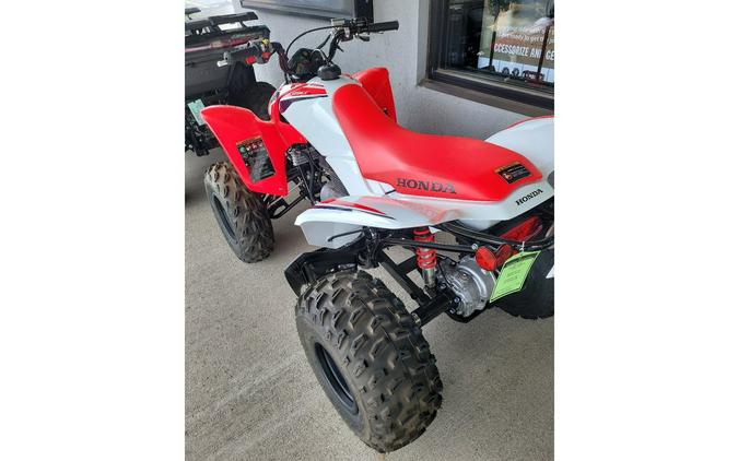 2024 Honda TRX250X