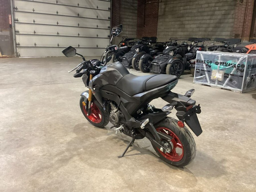 2024 Kawasaki Z125 PRO Base