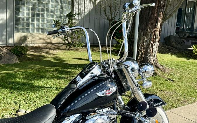 2008 Harley-Davidson® FLSTN - Softail® Deluxe