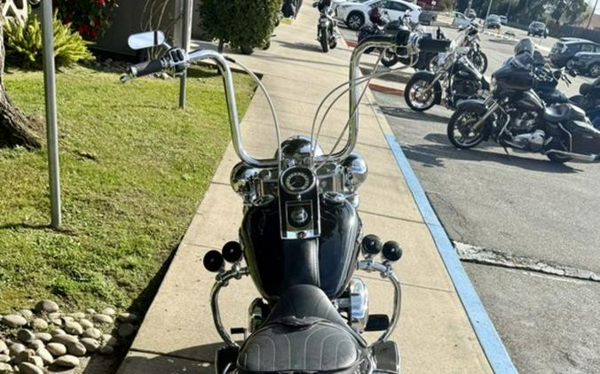 2008 Harley-Davidson® FLSTN - Softail® Deluxe