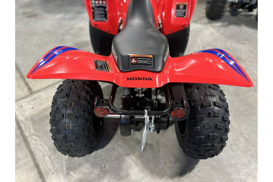 2024 Honda TRX® 90X