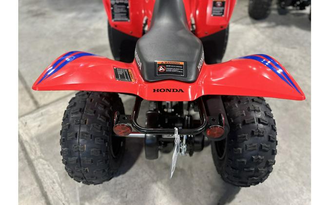 2024 Honda TRX® 90X