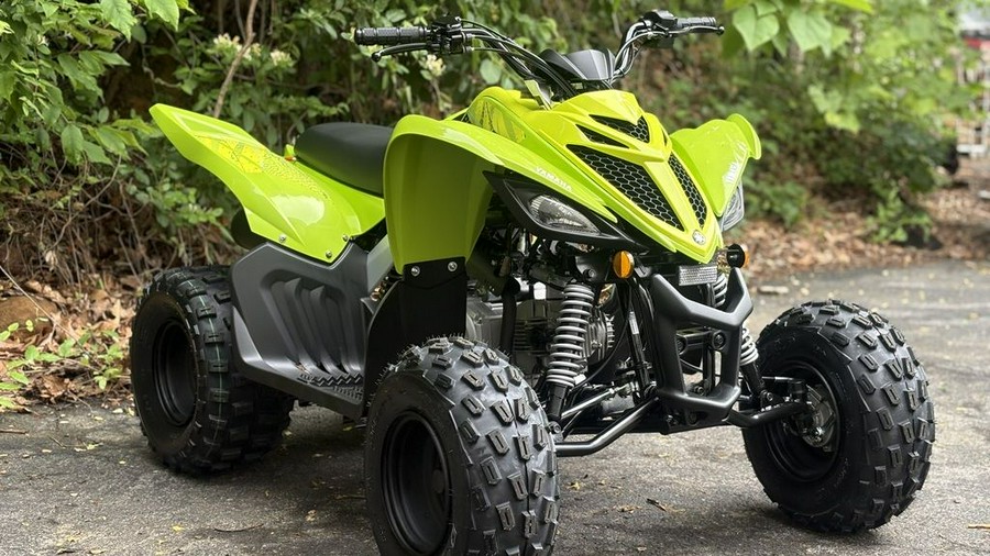 2026 Yamaha Raptor 110
