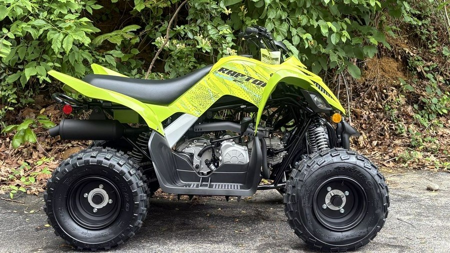 2026 Yamaha Raptor 110