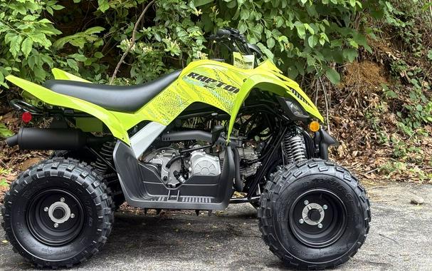 2026 Yamaha Raptor 110