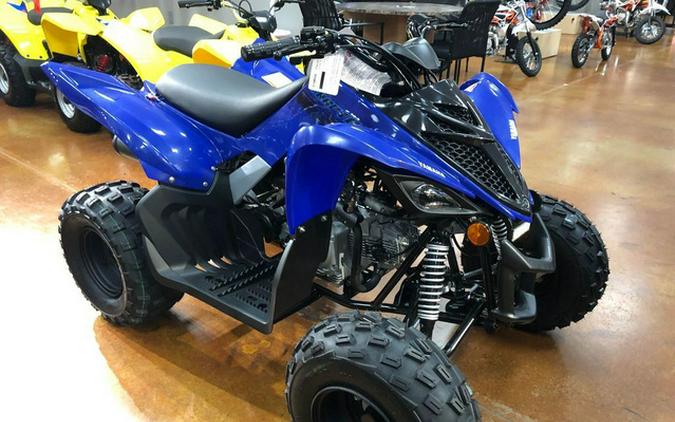 2024 Yamaha Raptor 110