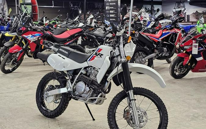 2023 Honda XR650L Review [30th Anniversary Retrospective]