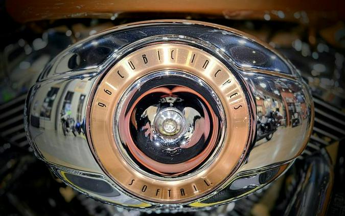 2008 Harley-Davidson® FLSTN - Softail® Deluxe 105th Anniversary Edition