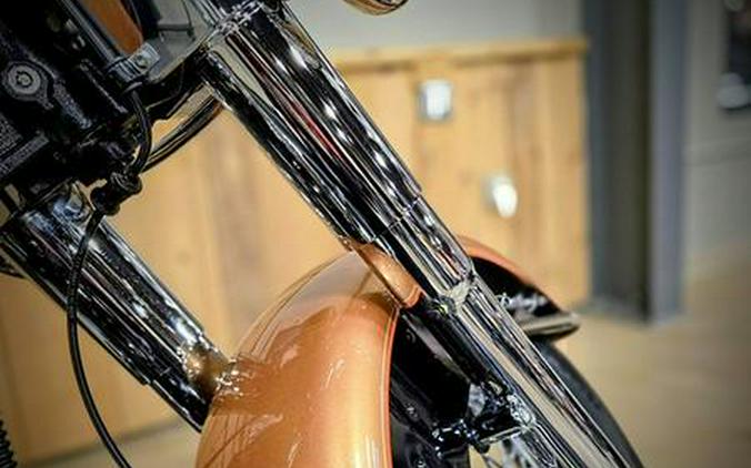 2008 Harley-Davidson® FLSTN - Softail® Deluxe 105th Anniversary Edition