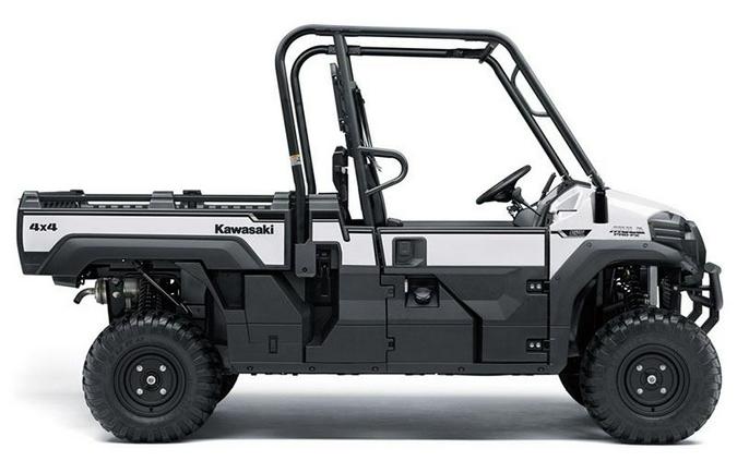 2019 Kawasaki Mule PRO-FX EPS