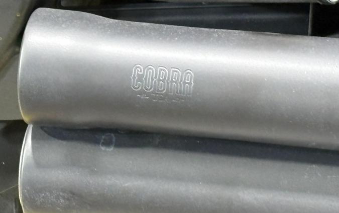 2020 Harley-Davidson Iron 1200 Barracuda Silver