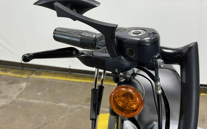 2020 Harley-Davidson Iron 1200 Barracuda Silver