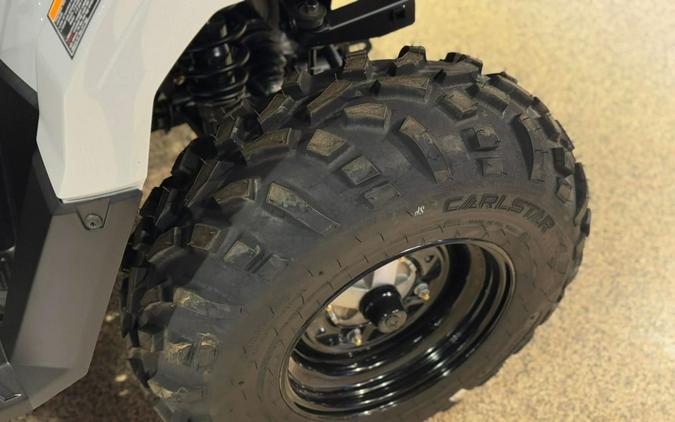 2026 Polaris Sportsman 450 H.O.