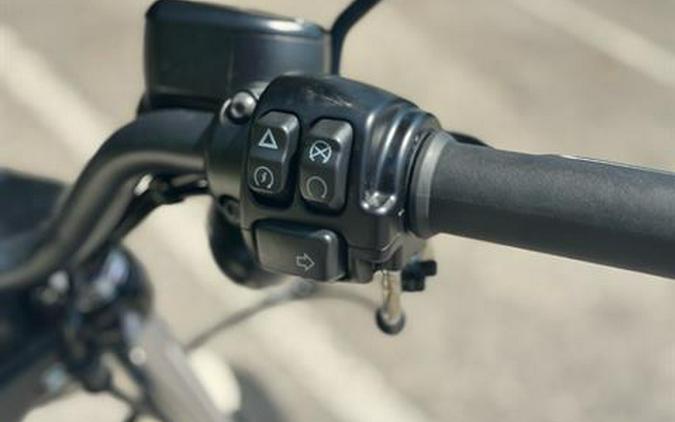 2022 Harley-Davidson Iron 883™