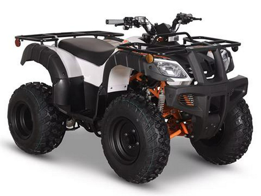 2025 Kayo Bull 150 EFI