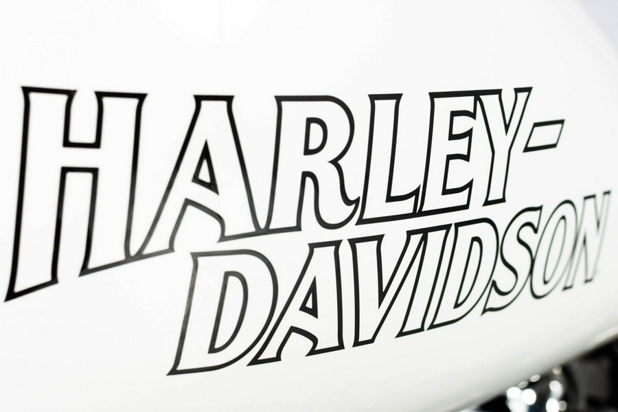 2025 Harley-Davidson Low Rider S