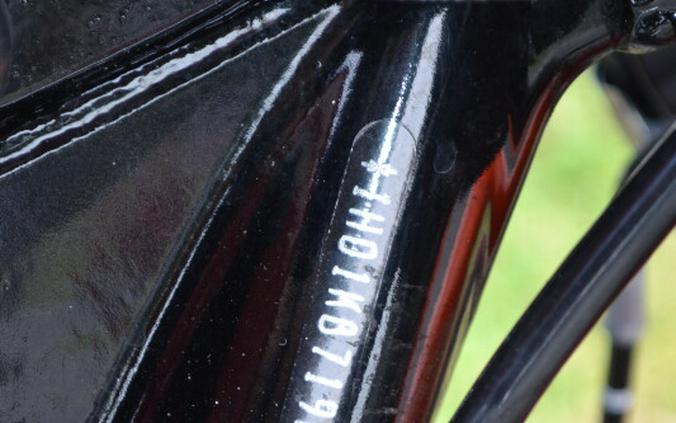 2024 Harley-Davidson® Street Glide® Whiskey Fire - FLHX