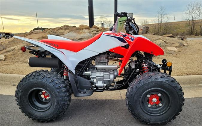 2024 Honda TRX250X