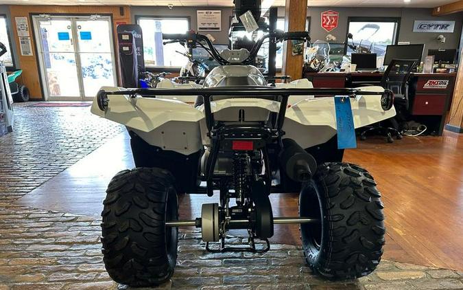 2024 Yamaha Grizzly 90