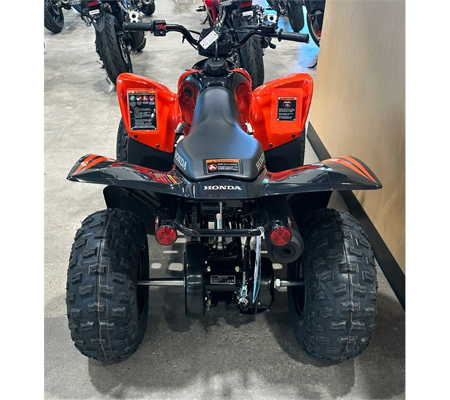 2024 Honda TRX90X