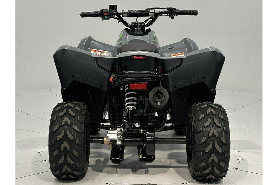 2025 Kawasaki KFX 50