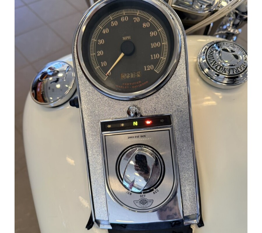 2003 Harley-Davidson 100th Anniversary Fat Boy FLSTFI