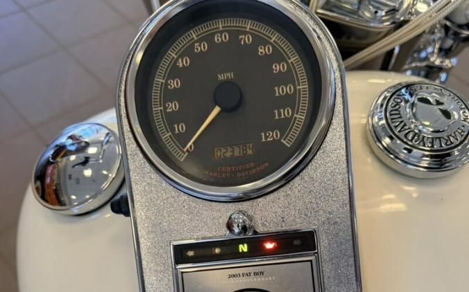 2003 Harley-Davidson 100th Anniversary Fat Boy FLSTFI