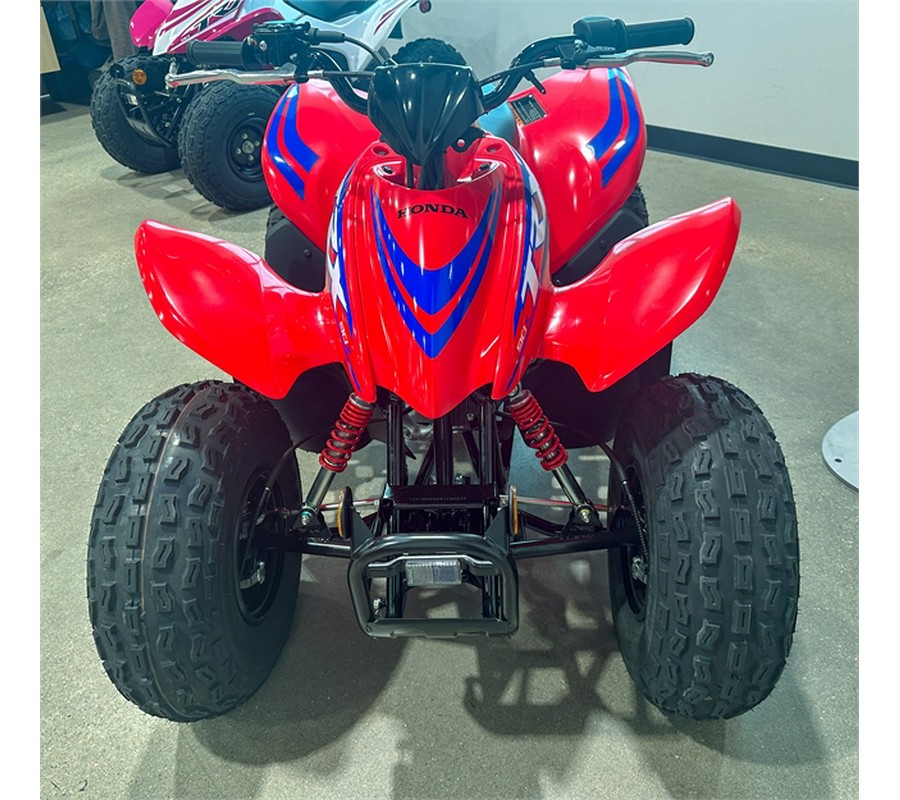 2024 Honda TRX90X