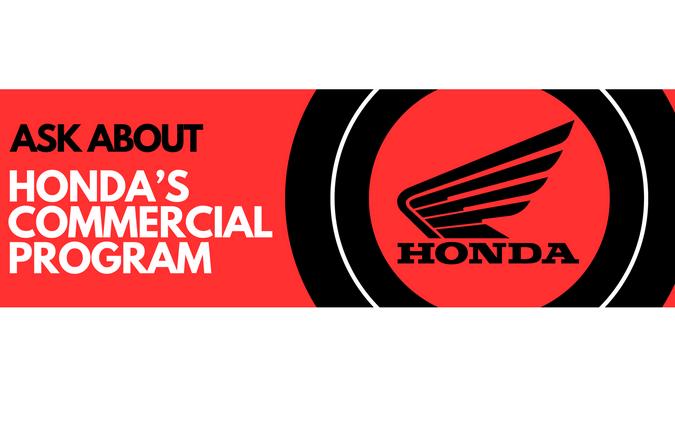 2025 Kawasaki Teryx KRX 1000