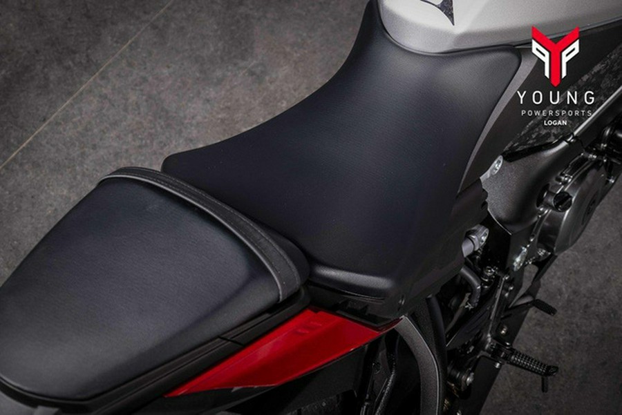 2024 Suzuki GSX-S1000