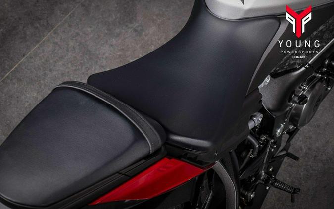 2024 Suzuki GSX-S1000