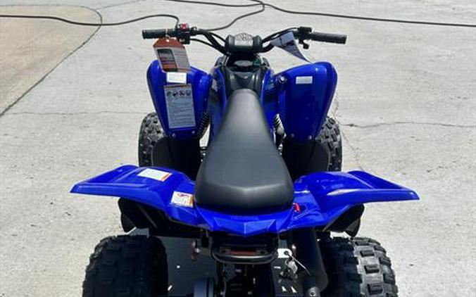 2024 Yamaha Raptor 110