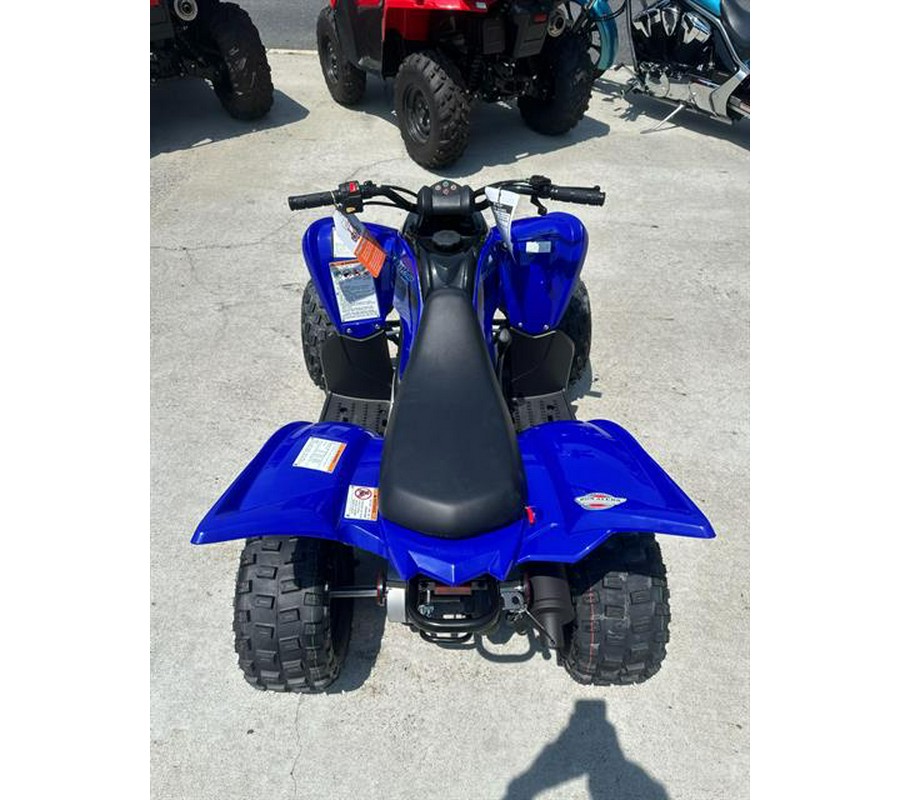 2024 Yamaha Raptor 110