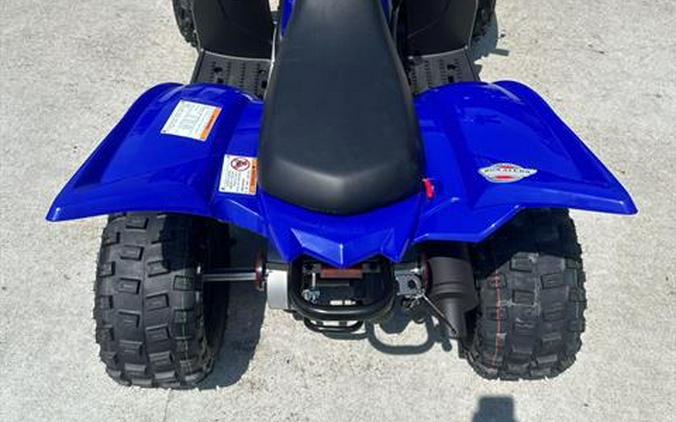 2024 Yamaha Raptor 110