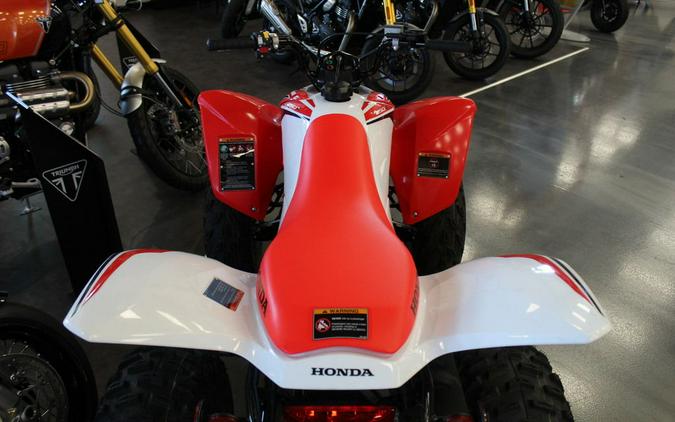 2024 Honda TRX 250X