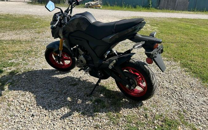 2024 Kawasaki Z125 PRO Base