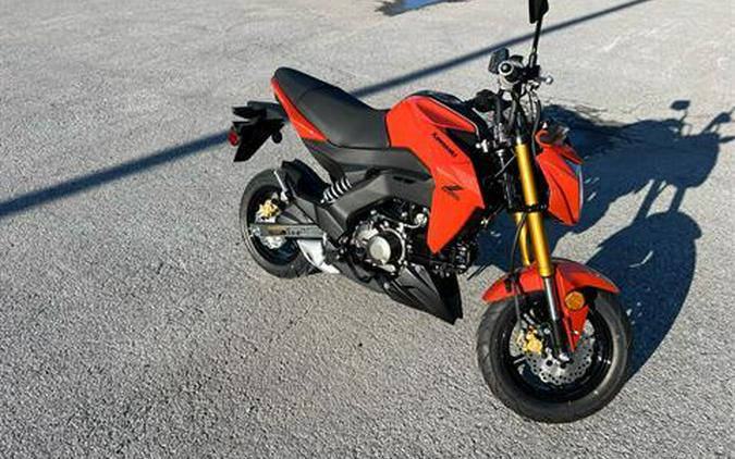 2025 Kawasaki Z125 Pro