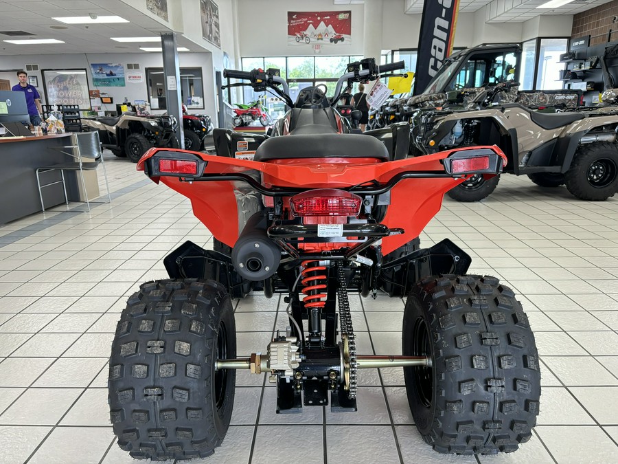 2024 Can-Am™ DS 250