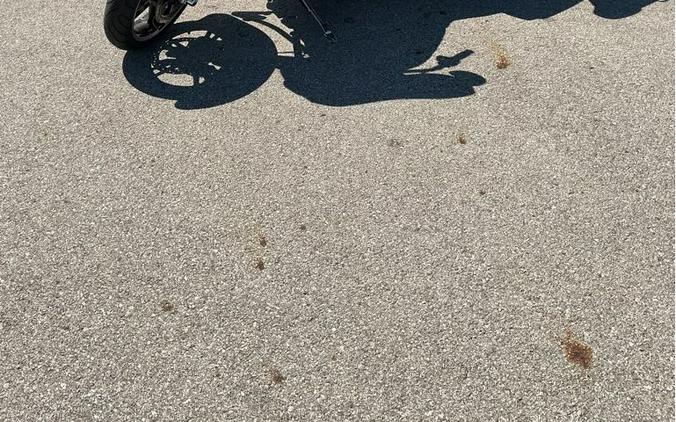 2009 Harley-Davidson® Street Glide®