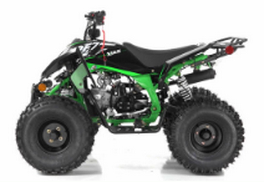 2024 Vitacci Falcon X-125