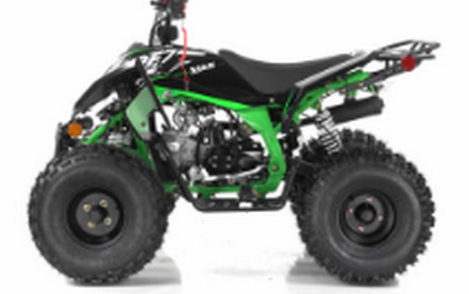2024 Vitacci Falcon X-125