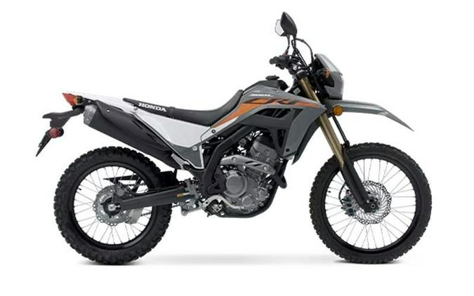 2023 Honda® CRF300LS