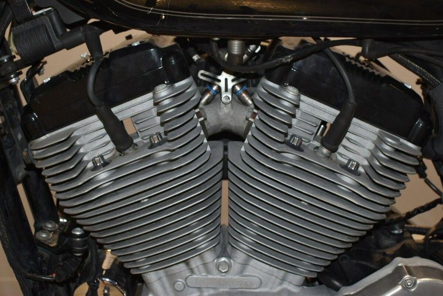 2009 Harley-Davidson Sportster 883 Low