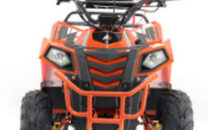 2025 Vitacci Mini Commander 110
