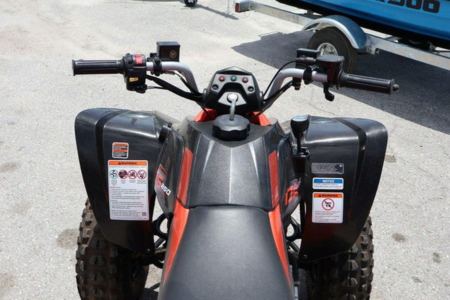 2025 Can-Am DS 250