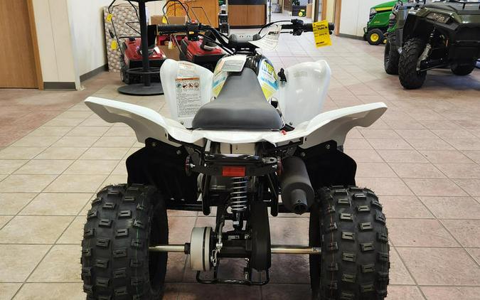 2023 Yamaha Raptor 90